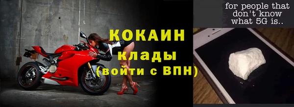 индика Семёнов