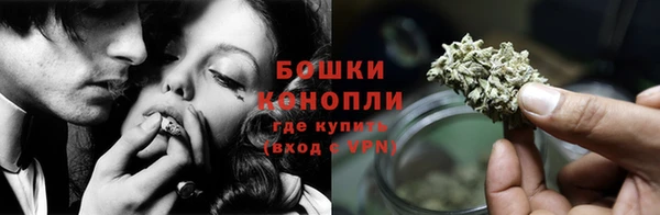 сатива Заводоуковск