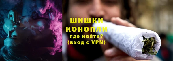 индика Семёнов