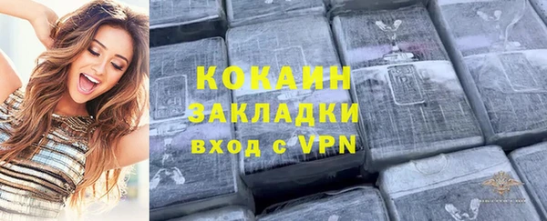 индика Семёнов