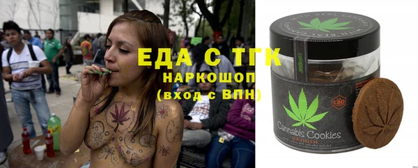 индика Семёнов