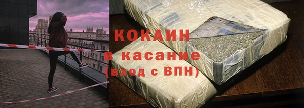 индика Семёнов