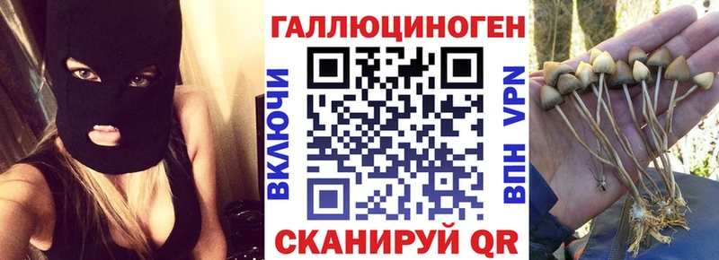 как найти закладки  Сердобск  Псилоцибиновые грибы мухоморы 