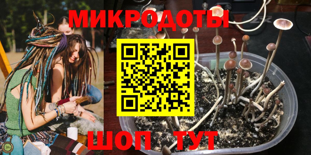 Псилоцибиновые грибы Psilocybine cubensis  закладки  Сердобск  Вход с VPN 